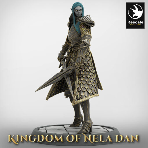 Elf Soldier DualSword Stance Head 01 1