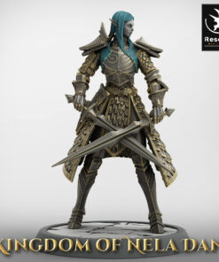 Elf Soldier DualSword Stance Head 02