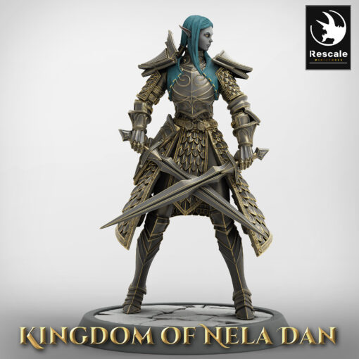 Elf Soldier DualSword Stance Head 02