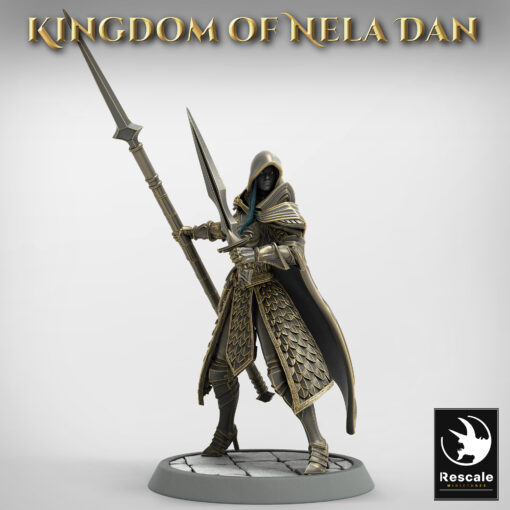 Elf Soldier SpearSword Chief 01 1