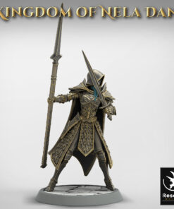 Elf Soldier SpearSword Chief 02