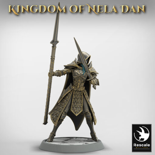 Elf Soldier SpearSword Chief 02