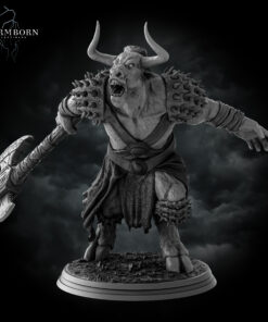 minotaur front 1